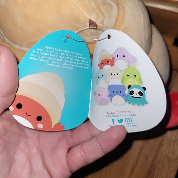 Squishmallows, Indie the Hermit Crab - Picture 3 of 4